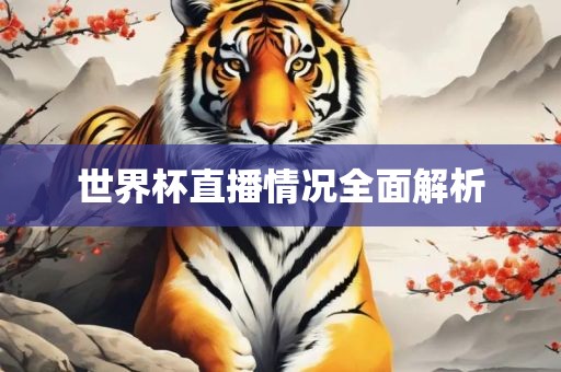 世界杯直播 第4页