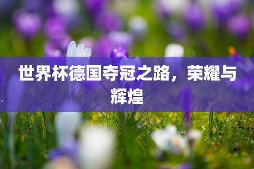 世界杯德国夺冠之路，荣耀与辉煌