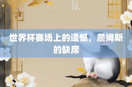 世界杯赛场上的遗憾，詹姆斯的缺席眉山市正发家政服务有限公司