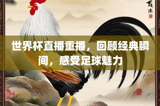 世界杯直播重播，回顾经典瞬间，感受足球魅力眉山市正发家政服务有限公司