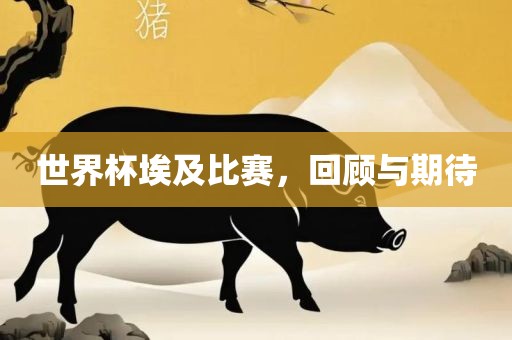 世界杯埃及比赛，回顾与期待眉山市正发家政服务有限公司