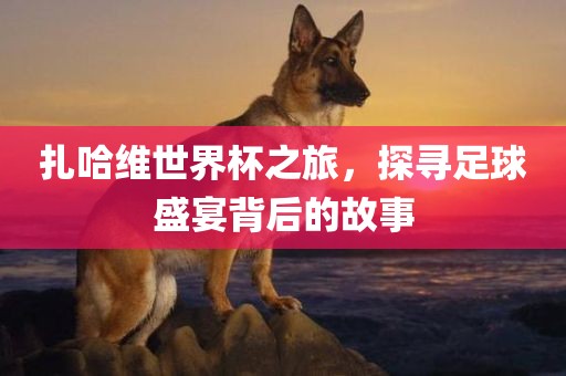 扎哈维世界杯之旅，探寻足球盛宴背后的故事眉山市正发家政服务有限公司