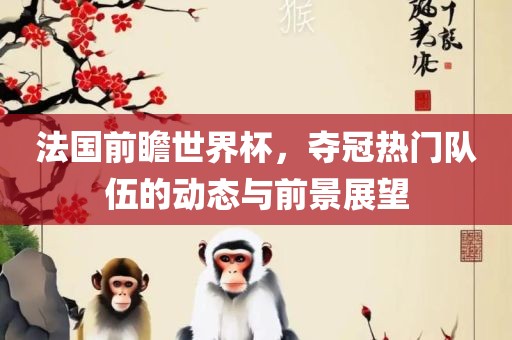 法国队 第2页