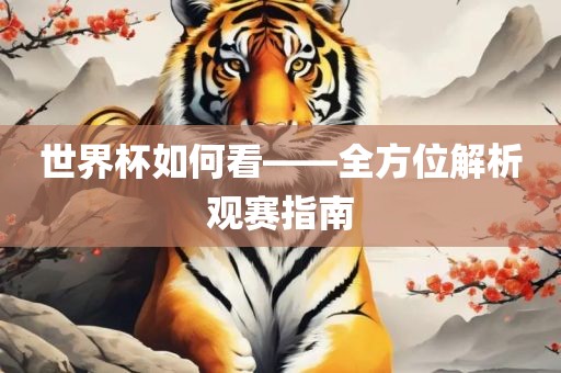 世界杯如何看——全方位解析观赛指南