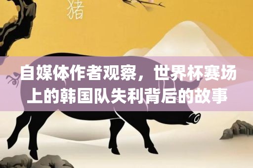 自媒体作者观察，世界杯赛场上的韩国队失利背后的故事眉山市正发家政服务有限公司