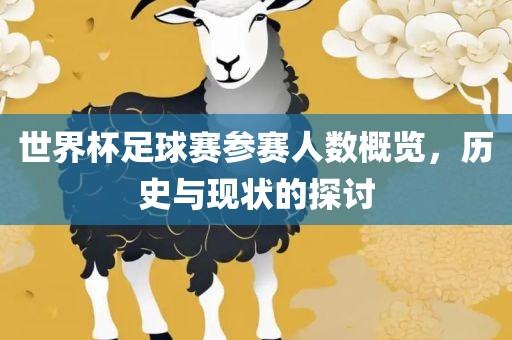 世界杯足球赛参赛人数概览，历史与现状的探讨眉山市正发家政服务有限公司