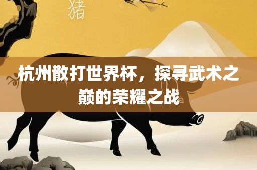 杭州散打世界杯，探寻武术之巅的荣耀之战