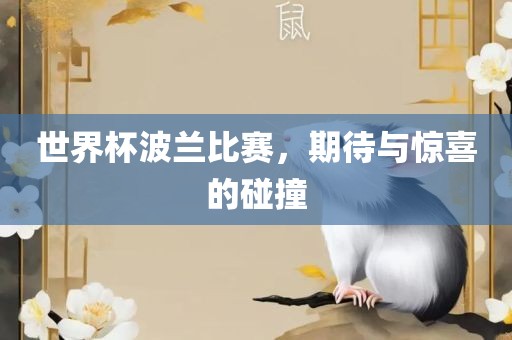 世界杯波兰比赛，期待与惊喜的碰撞