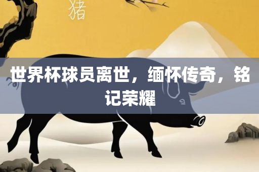 世界杯球员离世，缅怀传奇，铭记荣耀眉山市正发家政服务有限公司