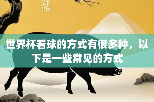 世界杯看球的方式有很多种，以下是一些常见的方式眉山市正发家政服务有限公司