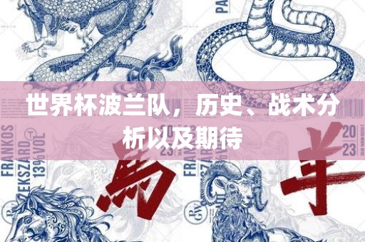 世界杯波兰队，历史、战术分析以及期待