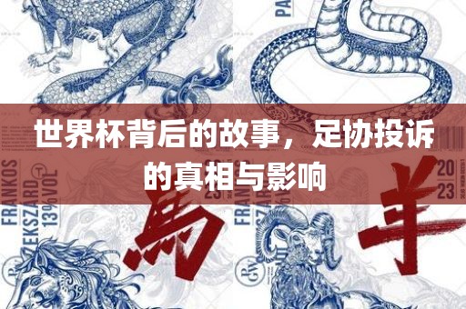 世界杯背后的故事，足协投诉的真相与影响眉山市正发家政服务有限公司
