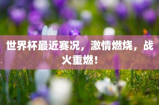 世界杯最近赛况，激情燃烧，战火重燃眉山市正发家政服务有限公司！