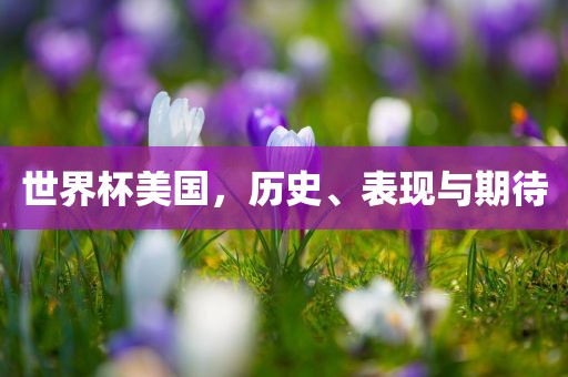 世界杯美国，历史、表现与期待