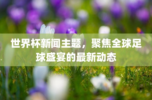 世界杯新闻主题，聚焦全球足球盛宴的最新动态